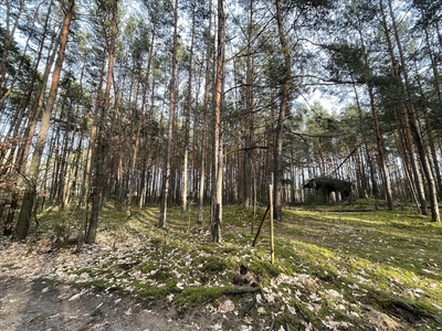 Działka na sprzedaż, Otwocki, Rudnik