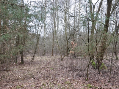 Działka na sprzedaż, Piaseczyński, Czarnów