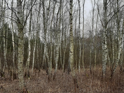 Działka na sprzedaż, Piaseczyński, Czarnów