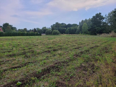 Działka na sprzedaż, Białogardzki, Żabiniec