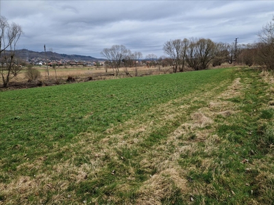 Działka na sprzedaż, Jeleniogórski, Jeżów Sudecki