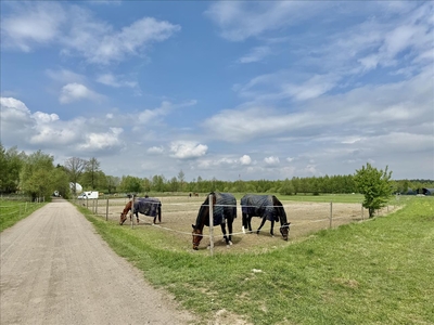 Działka na sprzedaż, Piaseczyński, Tarczyn gm, Świętochów