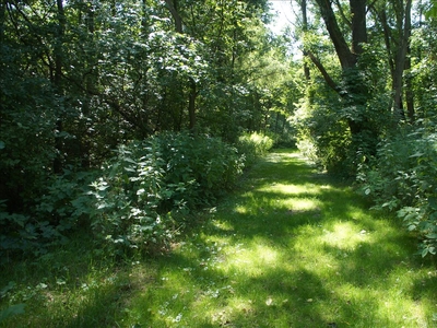 Działka na sprzedaż, Pruszkowski, Pęcice Małe