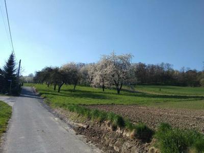 Działka rolna w pięknej okolicy