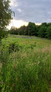 Działka budowlana Bieruń, ul. Skowronków