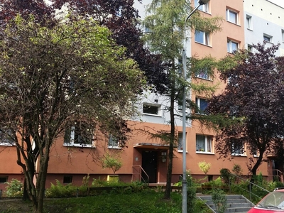Mieszkanie Katowice Koszutka, ul. Wiązowa