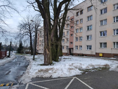 Mieszkanie na sprzedaż, 57 m², Katowice