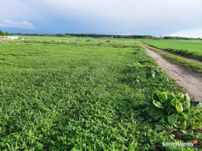 Działka budowlana 20 km od Łeby