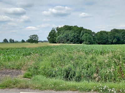 Działka na sprzedaż, Wrocławski, Święta Katarzyna gm, Sulimów