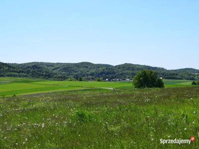 Działki rolne 86a i 1.13ha- Brzeziny