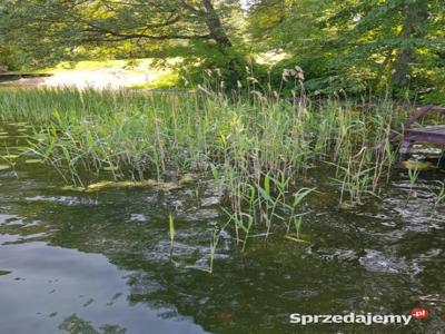 Sprzedan dzialke nad jeziorem Pierwoj