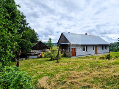 Bocheński, Lipnica Murowana, Lipnica Dolna