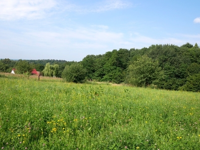 Działka budowlana Bolechowice