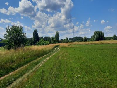 Działka rolna. Dobrzyniewo Kościelne.