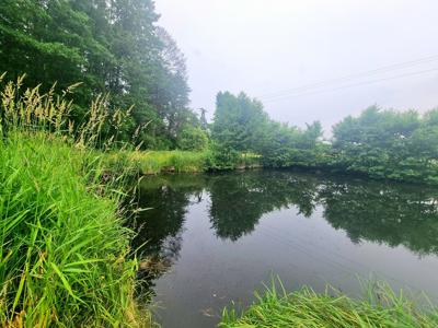 Działka budowlana Aleksandrów Łódzki, ul. Wolności