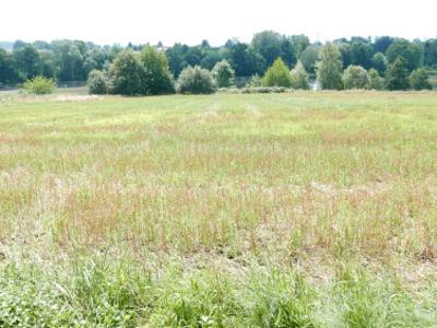 Działka budowlana Komorowice Krakowskie, ul. Samotna