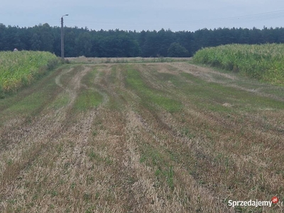 Działka 42 ary pod zabudowę, Smólnik, gm. Krzymów, woj. Wielkopolskie