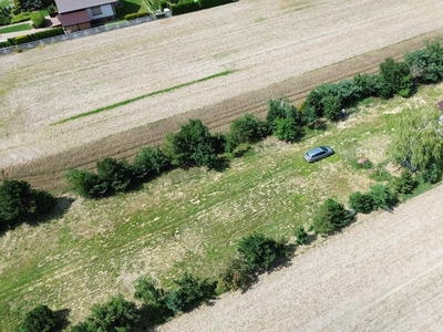 Działka siedliskowa Myślibórz