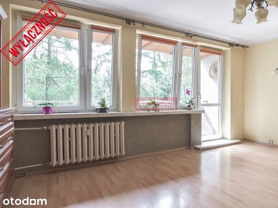 duży balkon prosto na park + piwnica 10m2