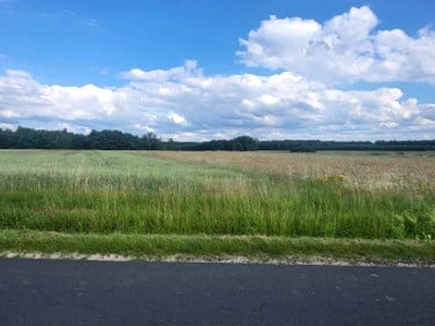 Działka rolno-budowlana Górki Grabińskie