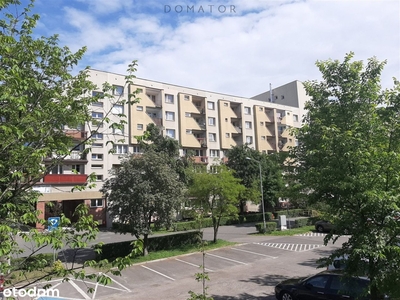 Mieszkanie, 47,80 m², Chorzów