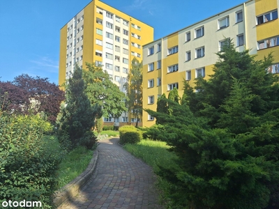 Przy Kaszowniku, 46,50 m2, 3 pokoje, 3 p. ,balkon