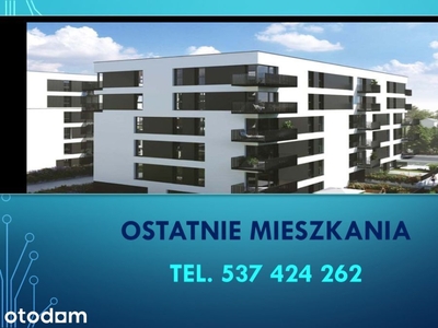 Mieszkanie 55m2 w kamienicy, ogródek