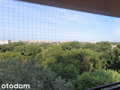 Widok na Park Duży Pokoj Balkon Piwnica R.Lotników