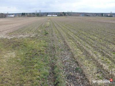 Działka w doskonałej lokalizacji-5 min. od Zalewu