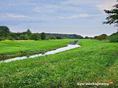 Łąki przy kanale - częściowo pod wydobycie torfu!!