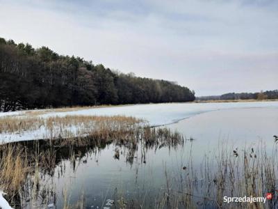 Staw rybny 4,62 ha, Pilaszkowice, lubelskie