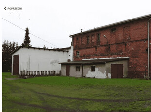 Golubsko-Dobrzyński (Pow.), Golub-Dobrzyń