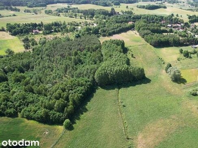 Atrakcyjne działki nad jez. Dadaj! / Najdymowo!