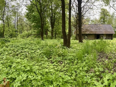 Działka budowlana Radwanowice