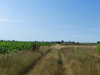 Działka budowlana Zaborówek, ul. Łąkowa