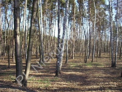 Działka rolna Grzegorzewice