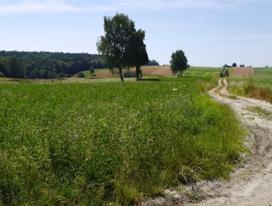 Działka rolna Werechanie