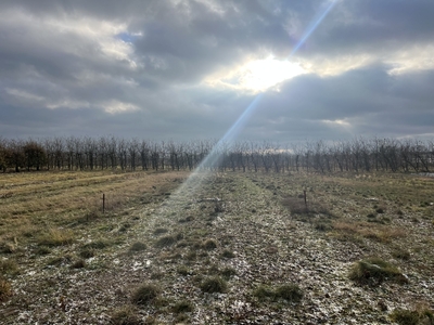 Działka z możliwością zabudowy-Glinki (gmina Karczew)