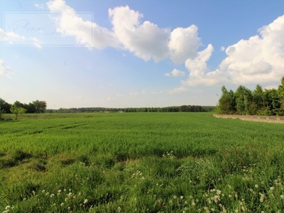 Działka siedliskowa Mikołajów