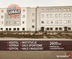 Lokal Białystok 295m2