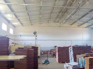 Lokal Wolica 700m2