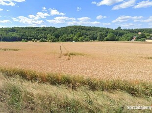 Na sprzedaż: Wyjątkowa rolno-budowlana