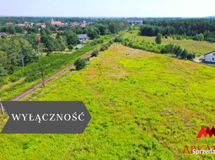 Oferta sprzedaży działki Odolion 10831m2