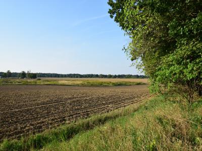 Zamkowa Niemodlin Opolski Opolskie Biuro Nieruchomości