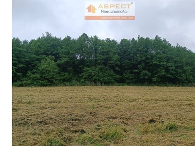 Działka na sprzedaż 30 000,00 m², oferta nr ASR-GS-46616