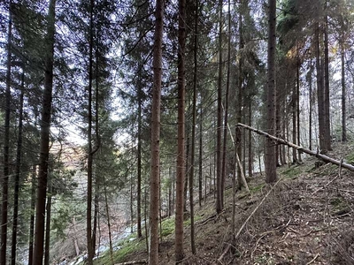 Działka Sprzedaż Nowy Targ, Polska