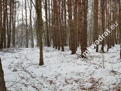 2500 m2 -urocza działka przy lesie