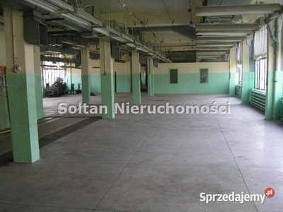 Oferta sprzedaży lokalu Bydgoszcz 2549m2