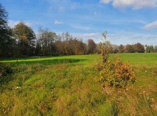 Działka na sprzedaż - Wiechlice / Szprotawa