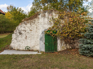 Klimatyczne siedlisko na Mazurach